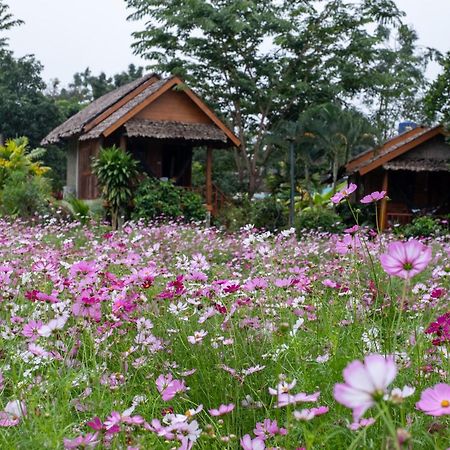 The Nest House Hotel Pai Eksteriør billede