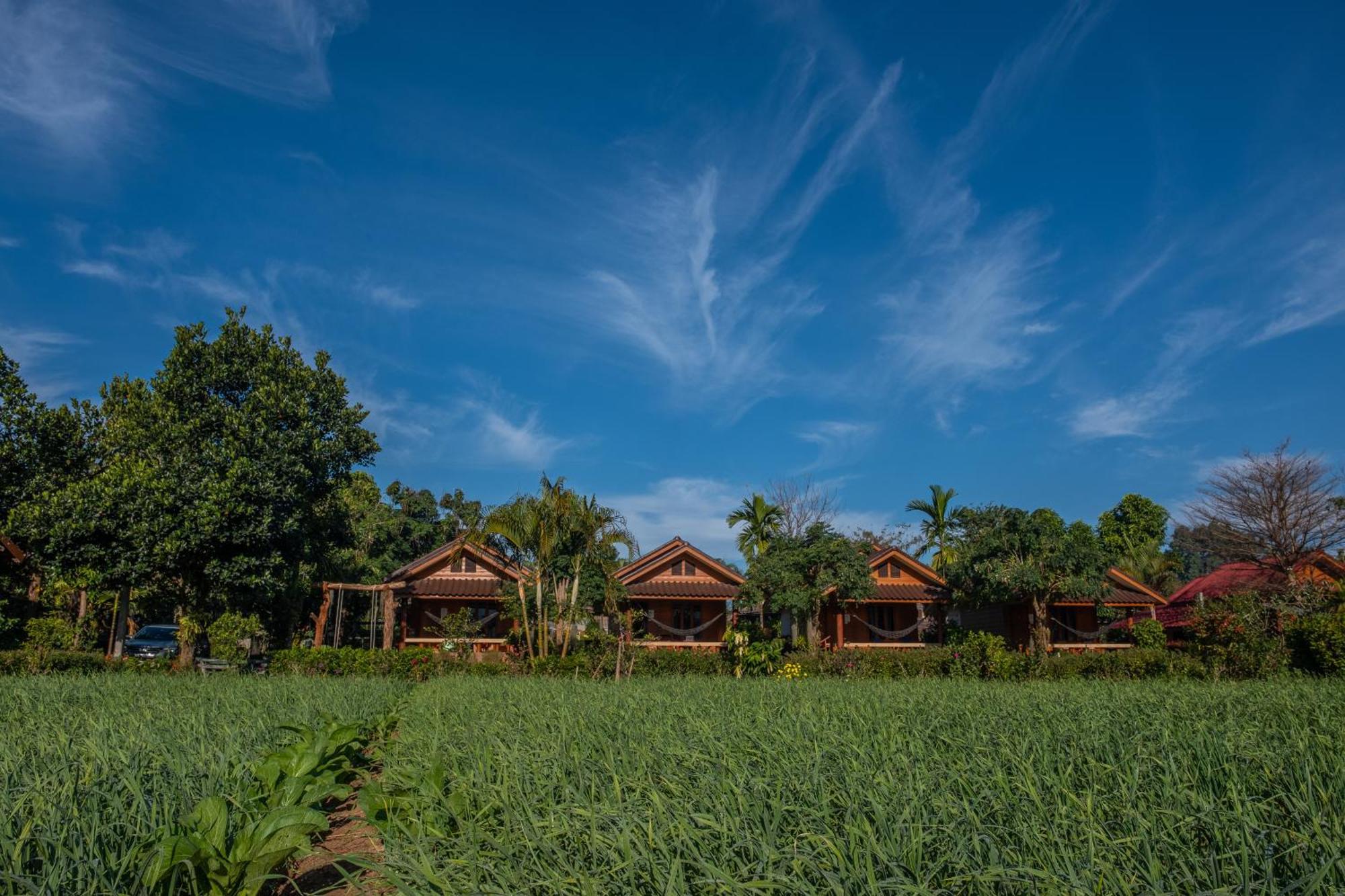 The Nest House Hotel Pai Eksteriør billede