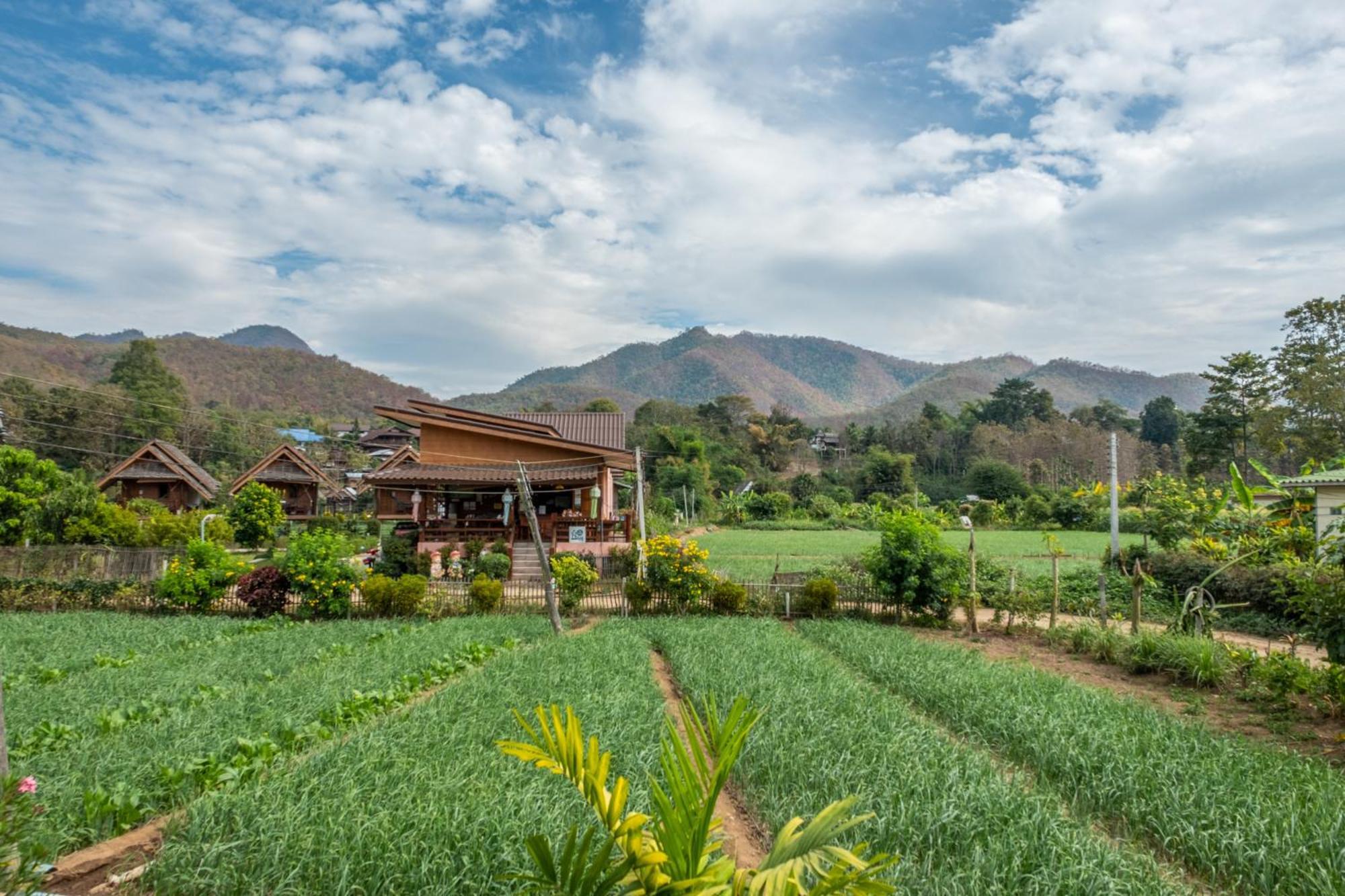The Nest House Hotel Pai Eksteriør billede