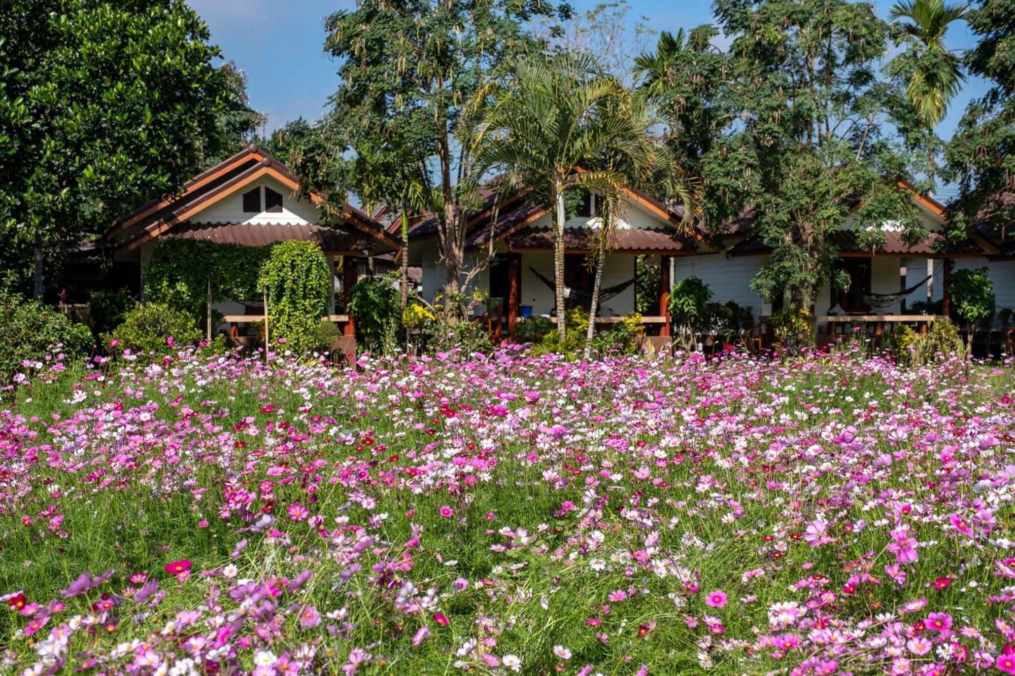The Nest House Hotel Pai Eksteriør billede