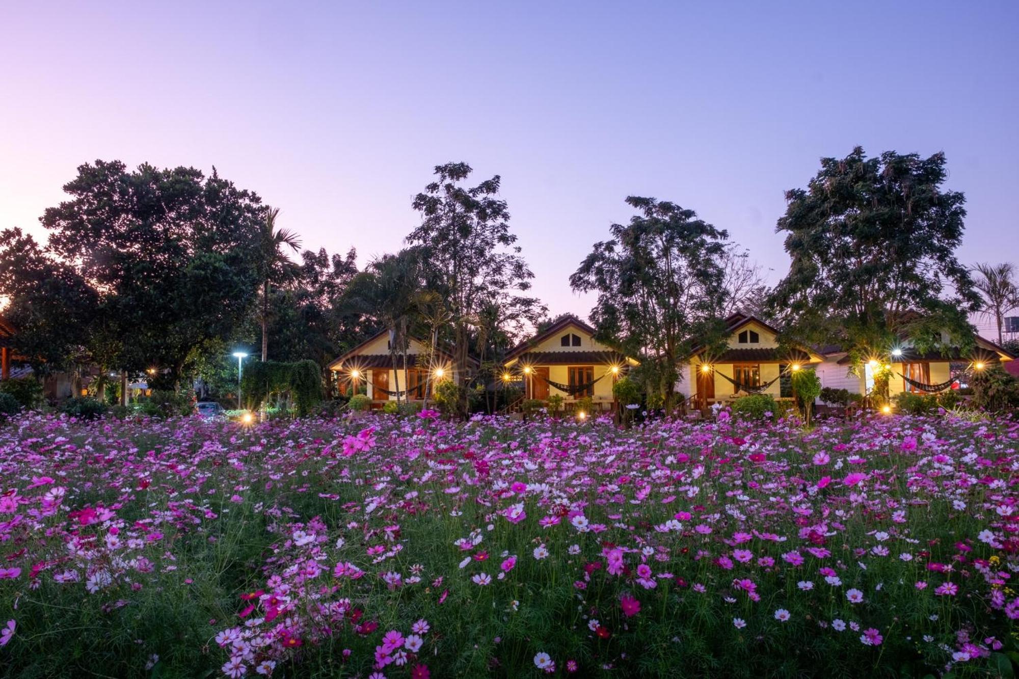 The Nest House Hotel Pai Eksteriør billede