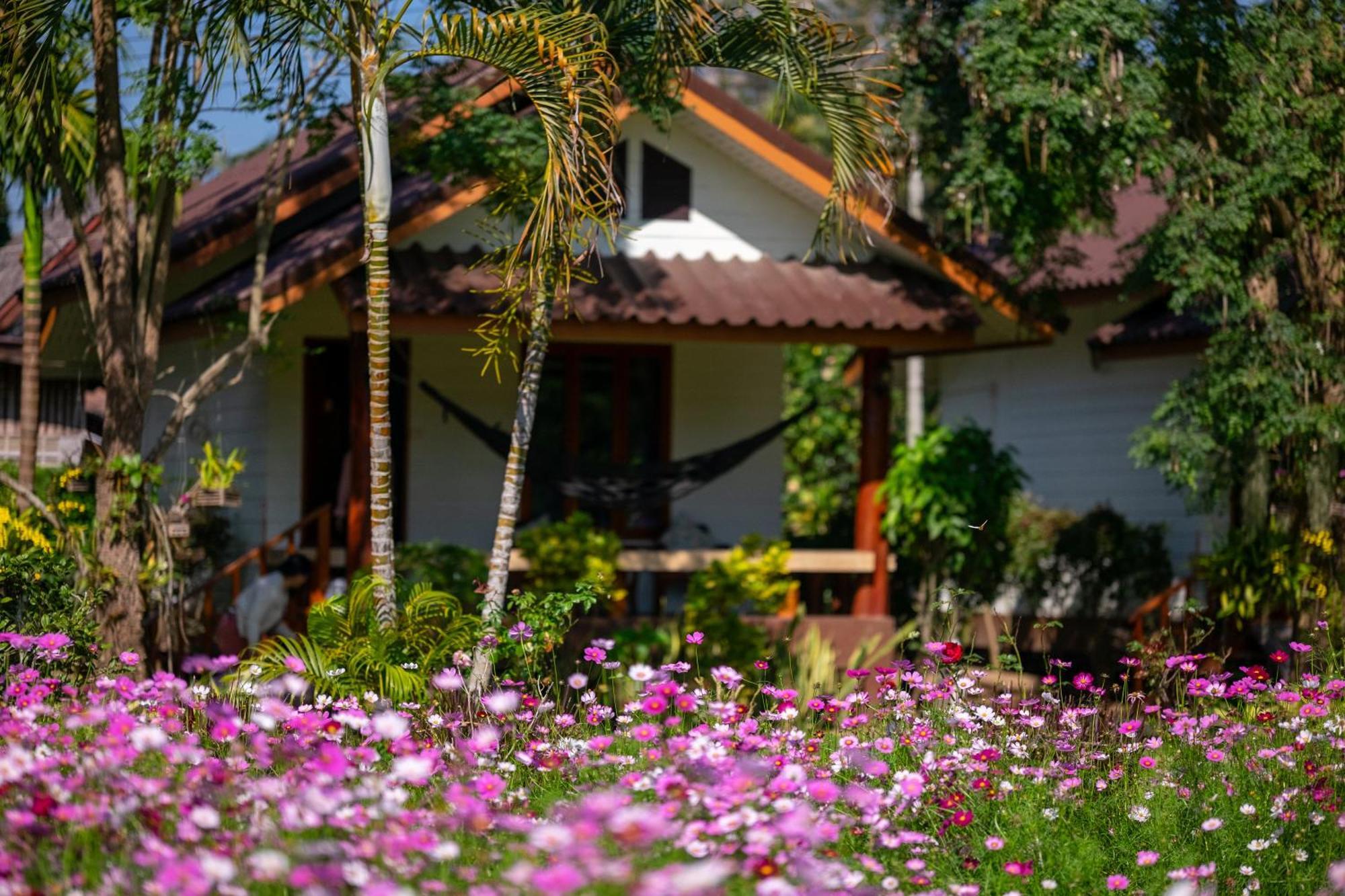 The Nest House Hotel Pai Eksteriør billede