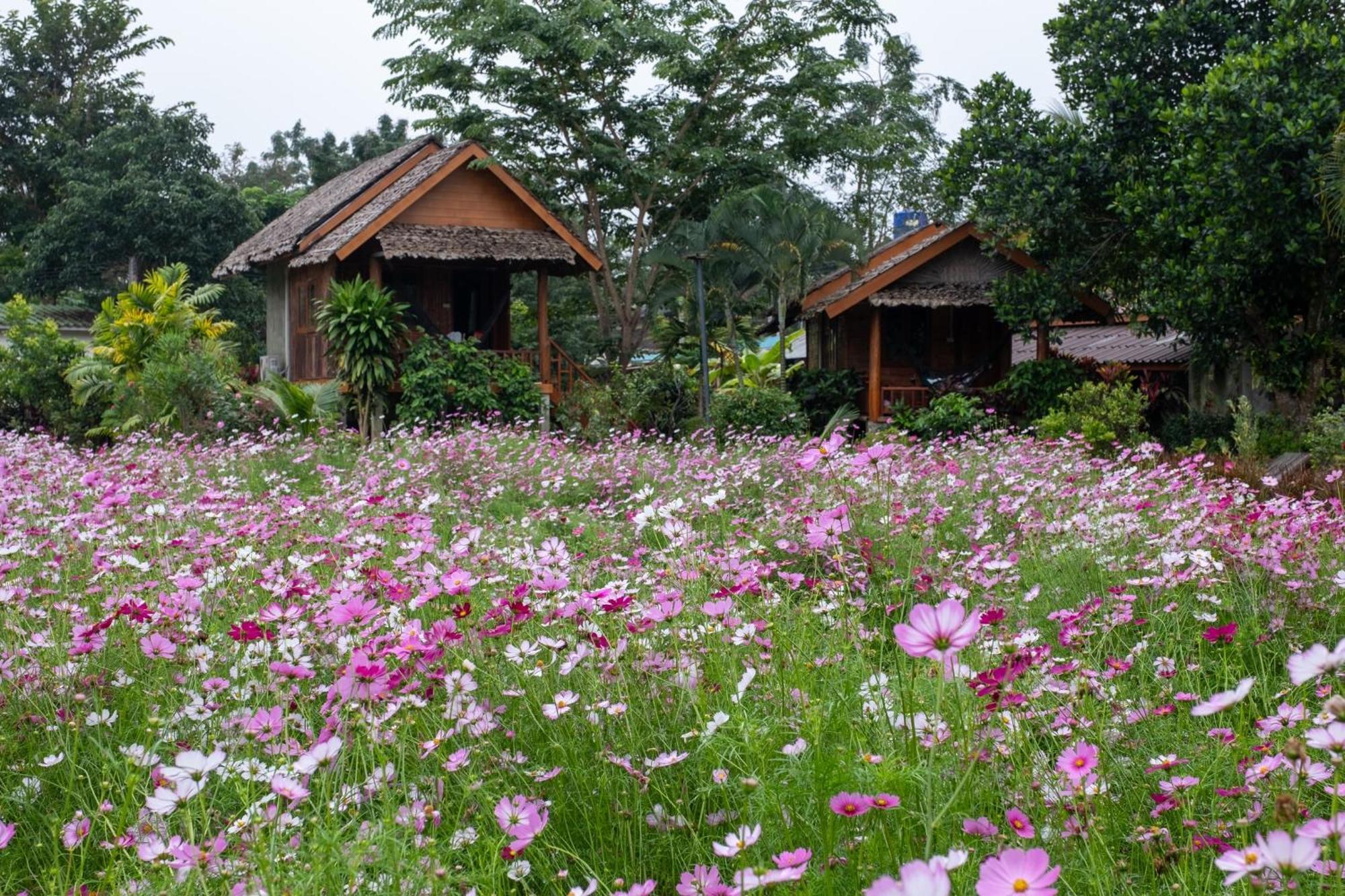The Nest House Hotel Pai Eksteriør billede