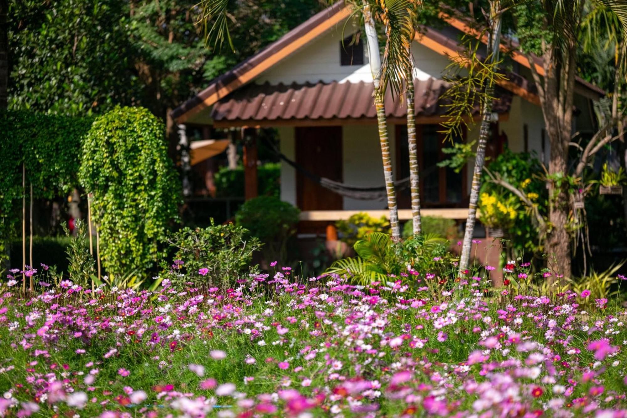 The Nest House Hotel Pai Eksteriør billede